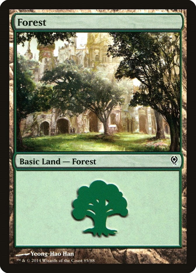 Forest 85 (85) [DDM]