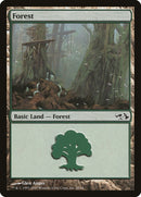 Forest 28 (28) [EVG]
