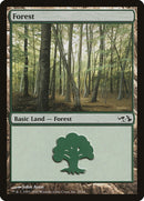 Forest 29 (29) [EVG]
