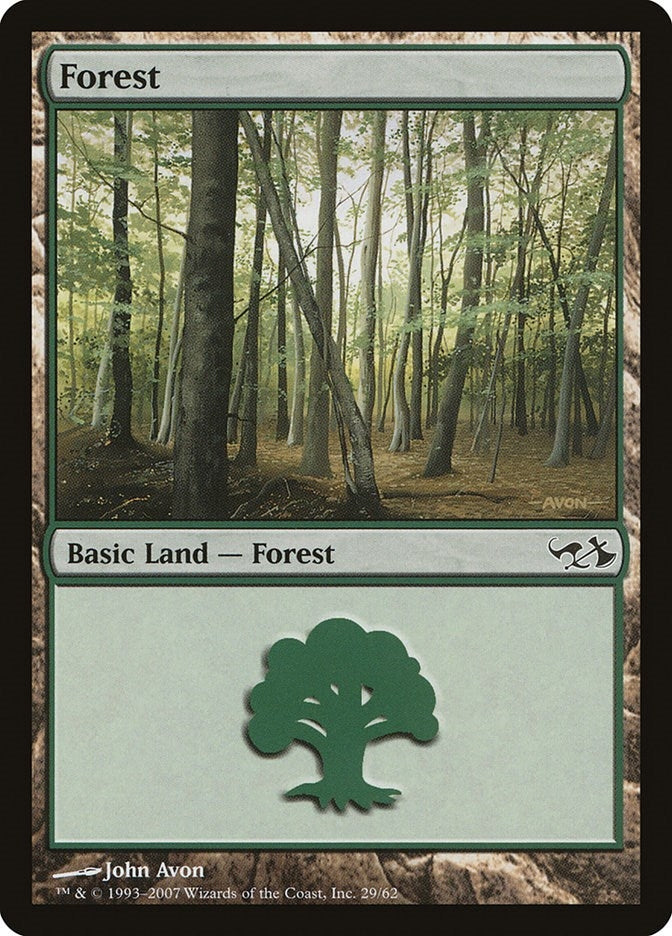 Forest 29 (29) [EVG]