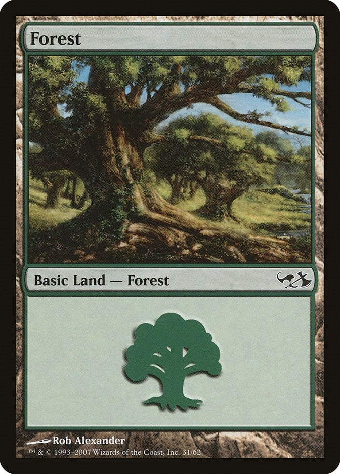 Forest 31 (31) [EVG]