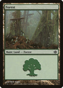 Forest 29 (29) [DDD]