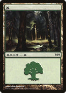 Forest 2011 (5) [PREM]