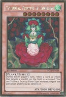 Tytannial Princess of Camellias (PGLD-EN088) [PGLD]