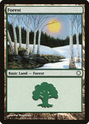 Forest 382 (382) [CTD]