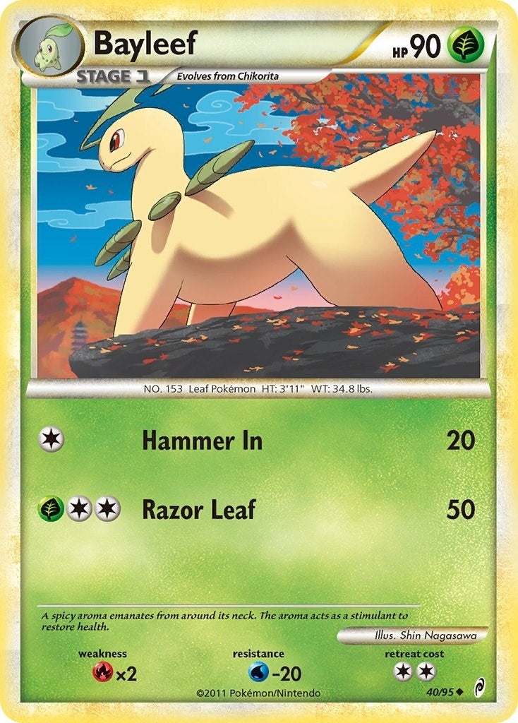 Bayleef (40/95) [CL]