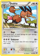 Dodrio (99/146) [XY]