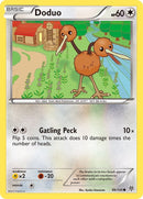 Doduo (99/135) [PLS]