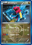 Druddigon Team Plasma (94/135) [PLS]
