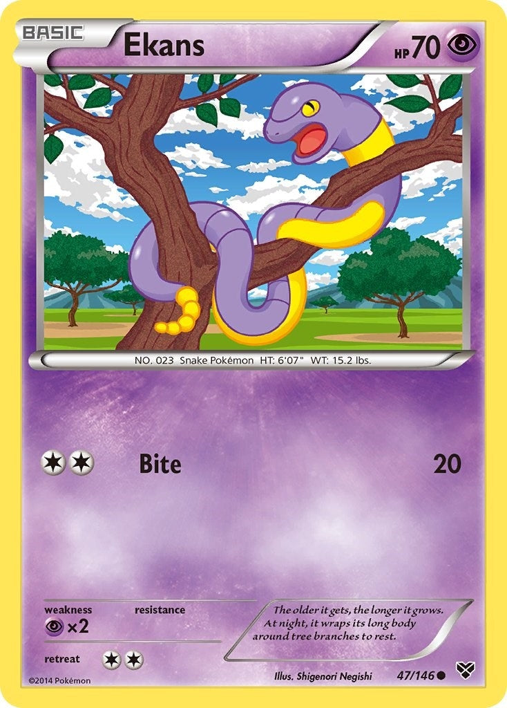 Ekans (47/146) [XY]