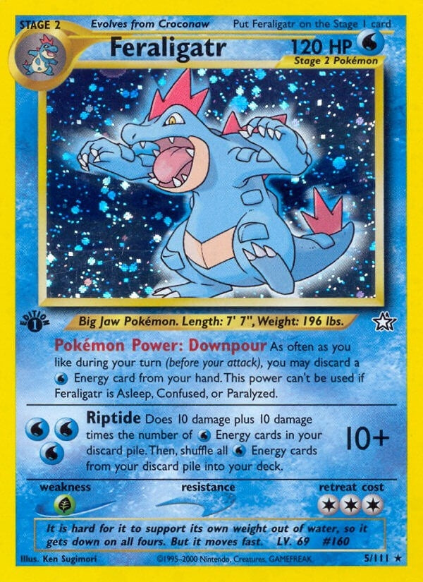 Feraligatr 5 (005/111) [N1]