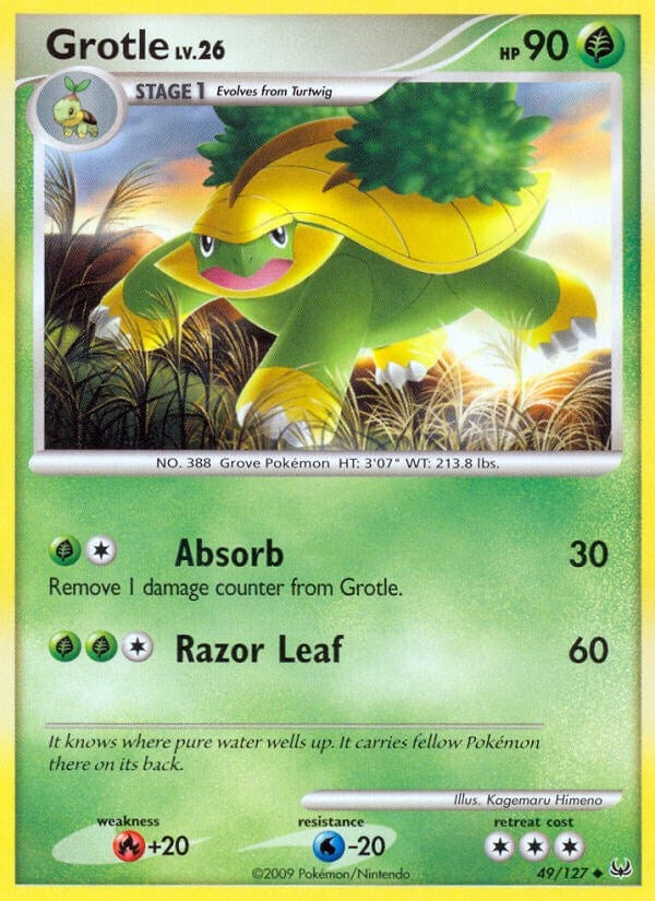 Grotle (49/127) [PL]