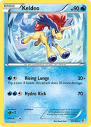 Keldeo 48 (48/149) [BCR]