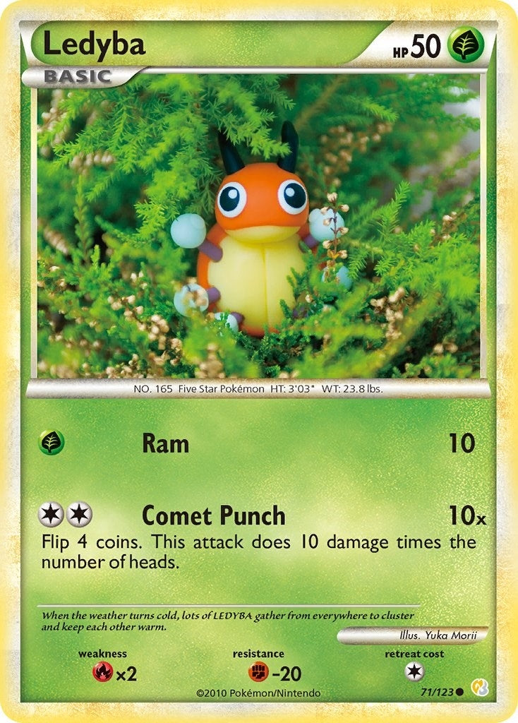 Ledyba (71/123) [HS]