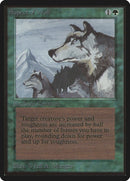 Aspect of Wolf [LEB]