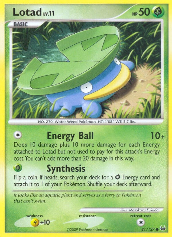 Lotad (81/127) [PL]