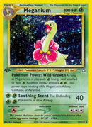 Meganium 11 (011/111) [N1]