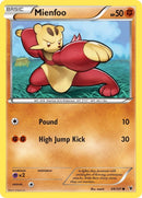 Mienfoo (69/101) [NVI]