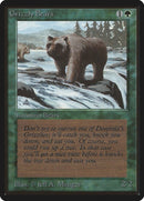 Grizzly Bears [LEB]