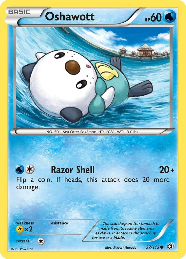 Oshawott (37/113) [LTR]