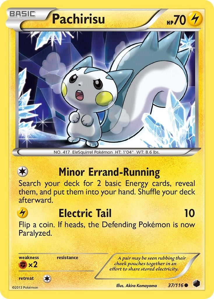 Pachirisu (37/116) [PLF]