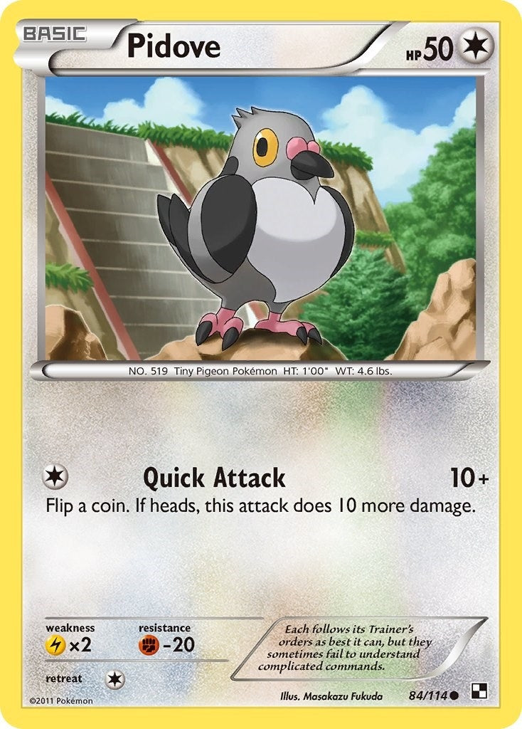 Pidove (84/114) [BLW]