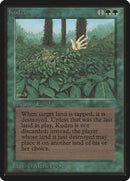 Kudzu [LEB]
