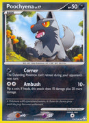 Poochyena (116/146) [LA]