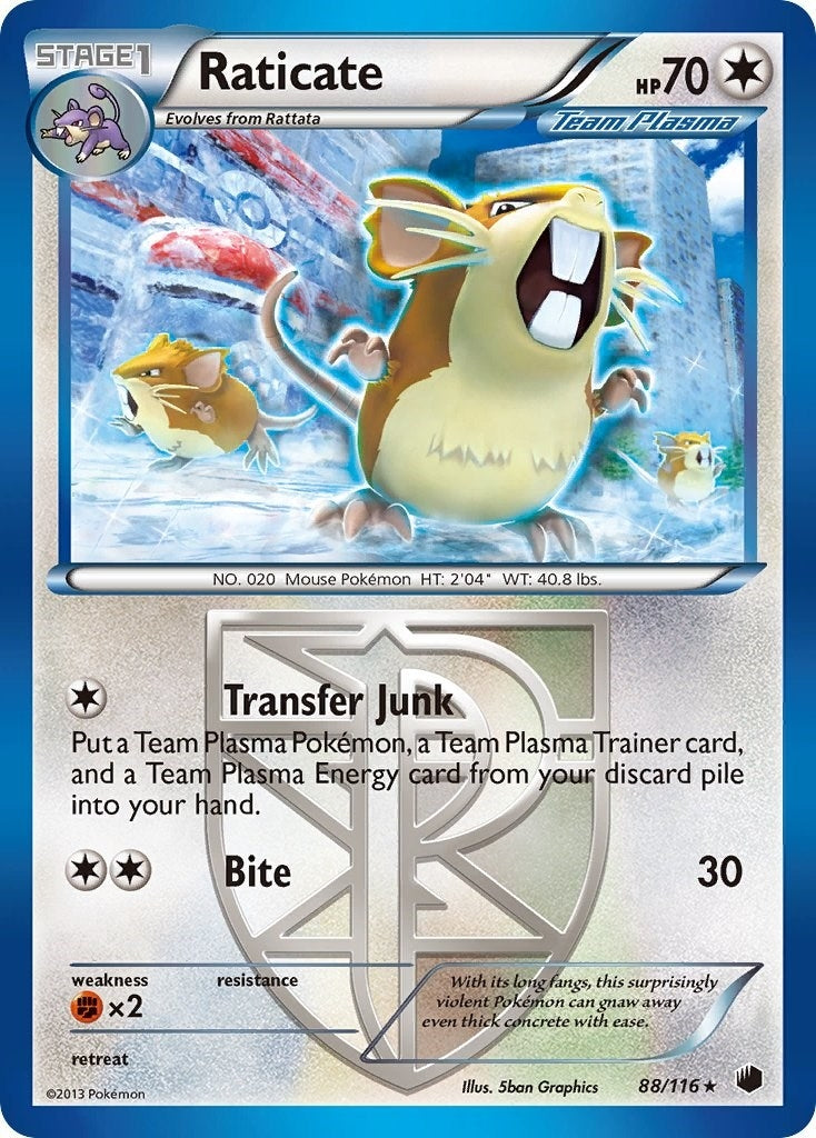 Raticate Team Plasma (88/116) [PLF]