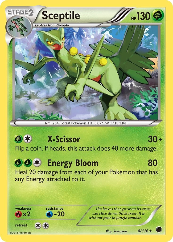 Sceptile (8/116) [PLF]