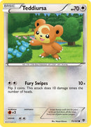Teddiursa (75/101) [PLB]