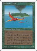 Birds of Paradise [2ED]