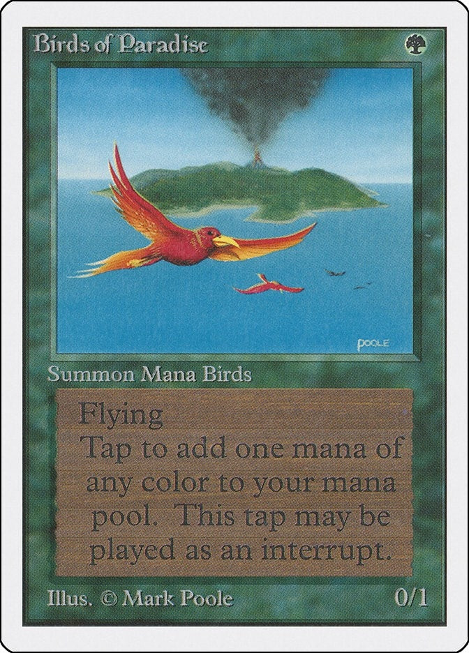 Birds of Paradise [2ED]