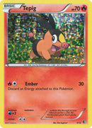 Tepig 3 12 (003/012)