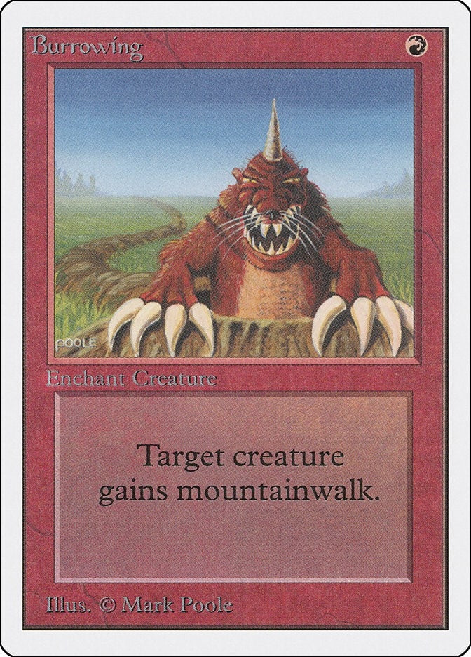 Burrowing [2ED]