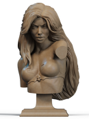Death Princess Resin Bust - view 2