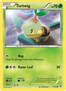 Turtwig (1/135) [PLS]