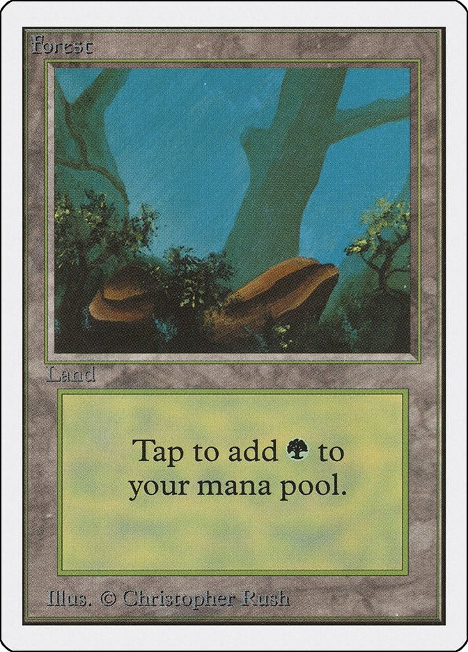 Forest A [2ED]