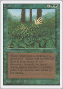 Kudzu [2ED]