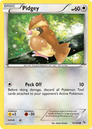 Pidgey (75/106) [FLF]