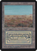 Scrubland [LEA]