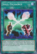 Soul Exchange (AP05-EN021) [AP05]