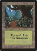 Forest B [LEB]
