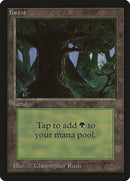 Forest C [LEB]