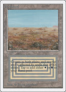 Scrubland [2ED]