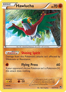 Hawlucha (63/111) [FFI]