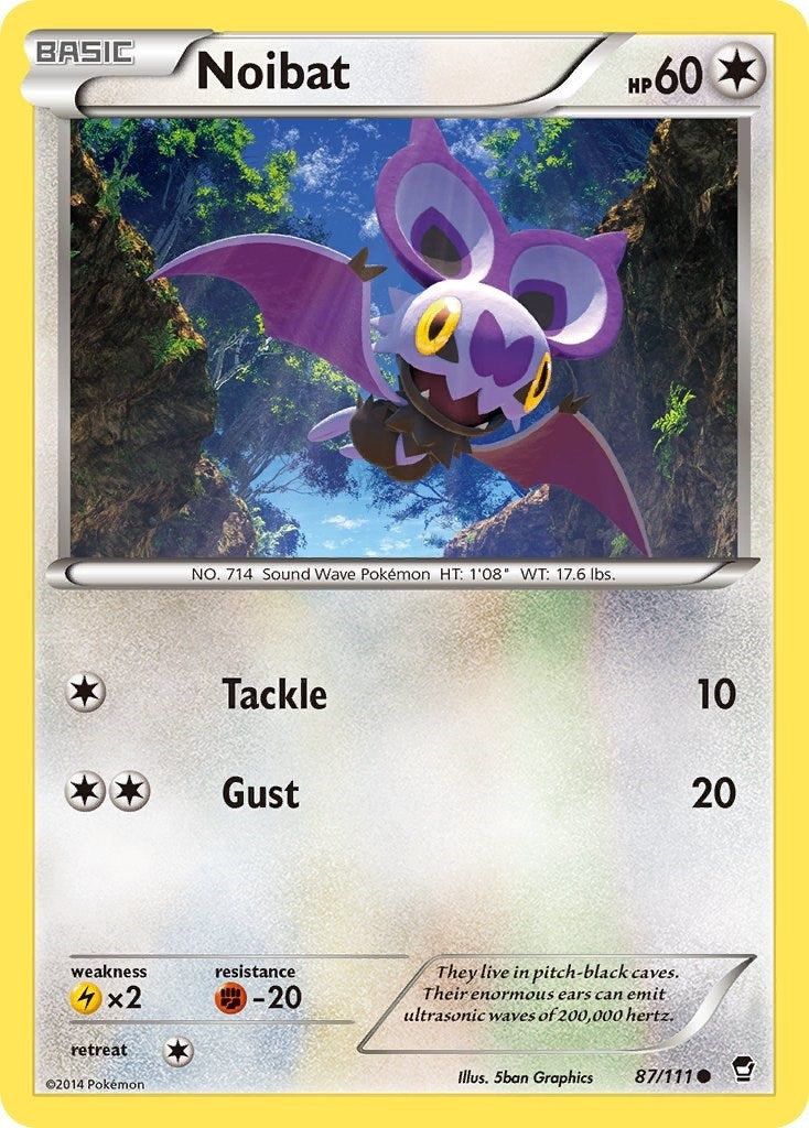 Noibat (87/111) [FFI]