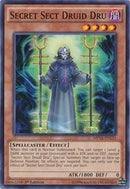 Secret Sect Druid Dru (MP14-EN133) [MP14]