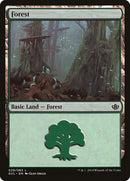 Forest 29 Garruk vs Liliana (29) [DD3]