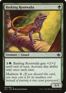 Basking Rootwalla (2) [DD3]